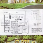 Mid Century Floor Plans: Open, Airy, and Timeless